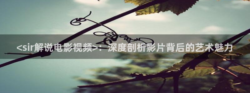 新闻图片